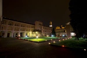 _DSC7462